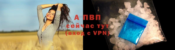 ALPHA PVP Верея